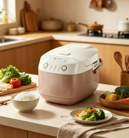 Autocuiseur Électrique Multifonction Grande Capacité FT50G 5L (10 Tasses de Riz) 860W pour Approvisionnement en Gros