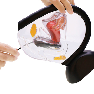 Tái Sử Dụng Mới Nhất Kinh Nguyệt Disco Phụ Nữ Thời Gian Kinh Nguyệt Đĩa Với Chuỗi Kinh Nguyệt Đĩa Thời Gian Kinh Nguyệt Đĩa - Product Image 3