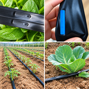 Système d'irrigation automatique par goutte-à-goutte 1ha 2ha 3ha 5ha 10ha, conception <span class=keywords><strong>de</strong></span> systèmes d'irrigation par tuyau/bande/ligne, kit d'irrigation goutte-à-goutte - Product Image 4