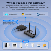 Passerelle PoE Zigbee LangYeao pour Home Assistant, portée de 200 m, antenne double 5 dB, interface web, prend en charge Zigbee2MQT