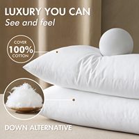 Coussin lombaire alternatif au duvet avec rembourrage en fibres creuses et microfibres et housse 100% coton pour la maison et l'hôtel