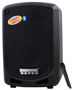 Goede Prijs 6.5 Inch Speaker Draadloze Mini Microfoon Hot Selling In Markt