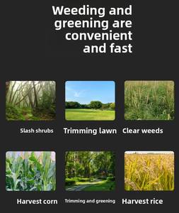 Désherbeur et coupe-herbe sans fil 21V haute puissance à batterie lithium, rechargeable, pour usage domestique, avec option batterie à dos - Product Image 5