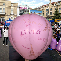 Nouvelle conception de poupée gonflable en PVC en forme de grand cochon, mascotte d'animal gonflable de grande taille, mascotte d'activité de festival, mascotte de place publique
