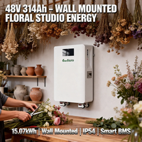 Baterai Lithium 48V 314Ah 15kWh untuk Sistem Penyimpanan Energi, Terpasang di Dinding dengan Roda
