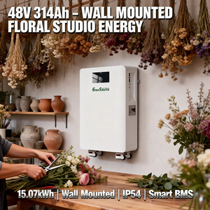 Baterai Lithium 48V 314Ah 15kWh untuk Sistem Penyimpanan Energi, Terpasang di Dinding dengan Roda - Product Image 1