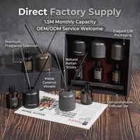 Ensemble diffuseur de parfum en céramique écologique de luxe avec logo personnalisé, usine OEM pour cadeaux d'entreprise, vente en gros