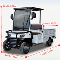 Voiturettes de golf, camions de golf, minivans, camions électriques, pick-up électriques à vendre, Club Car, voiturettes de golf chinoises