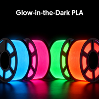 Filament d'imprimante 3D PLA Luminescent Ridory 1,75 mm 1 kg, Absorption Lumineuse FDM pour Décoration Intérieure et Maquettes
