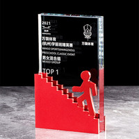 Plaque de récompense en cristal inspirante pour la conquête de sommets, Trophée d'honneur TOP1 pour événements sportifs pour enfants