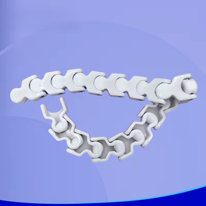 New 1700 Keel Conveyor Chain Plastic Conveyor System for Manufacturing Plant 20m/min Speed 1 Year Warranty - Product Image 5