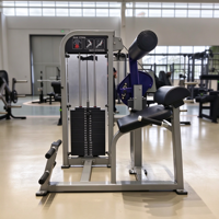 Kpeakfit Appareil de musculation professionnel à charges guidées pour l'extension dorsale, réglable, pour la musculation et le renforcement corporel en salle de sport