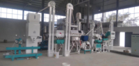 Machine de traitement de riz 1 tonne par heure, ligne de production compacte de rizerie 1000 kg/h, blanchisseur de riz