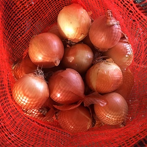 Trung Quốc <span class=keywords><strong>2025</strong></span> cây trồng mới tươi Vàng hành tây giá bán buôn giá cho xuất khẩu - Product Image 2