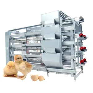 Cage de couveuse automatique pour bébés poussins avec batterie de poules pondeuses