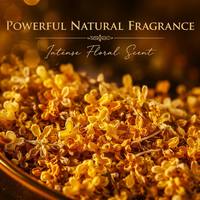 Teh Herbal Bunga Osmanthus Kering Halal - Aroma Intens Kemasan Daun Teh Lepas Teh Mekar Minuman Kesehatan Bahan Sirup