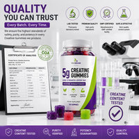 Gummies de créatine 5g véganes sans sucre, marque privée, supplément nutritionnel sportif, fabricant OEM sur mesure
