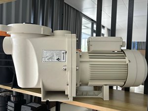 Pompe de piscine professionnelle à vitesse unique 1,5 CV, 2 CV, 3 CV - Product Image 3
