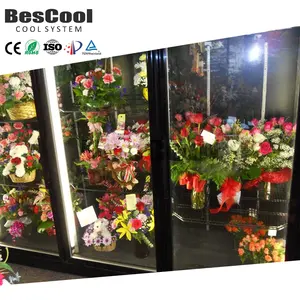 BesCool New 150mm Panel Thickness Walk-In Freezer Cold Room Storage With Display Shelf For Retail Florist Store