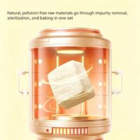 Friandise Quanying pour tortues, poisson séché au soleil, 120g, snack à haute teneur en protéines à base d'anchois pour tortues rouleaux, tortues de type Box Turtle et reptiles aquatiques