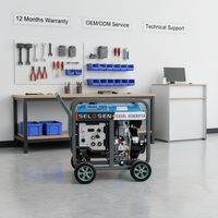 Générateur de soudage diesel mobile SELOSEN 300Amp 5KW 6KW 5000W 5.5KW 195F 14L Réservoir de carburant AVR 1. 8-5. Générateur de soudeuse à tiges Omm