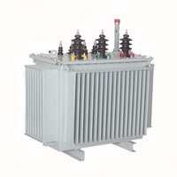 Transformateur triphasé immergé dans l'huile 100 KVA 200 KVA 315 KVA 380V 35KV 11KV 50Hz pour distribution d'énergie