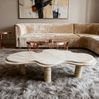 Table basse de salon en marbre doré, forme libre unique, style araignée, pour café