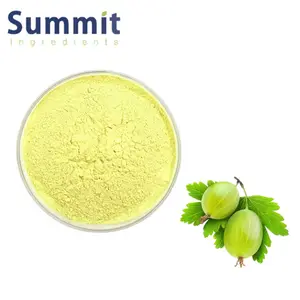 Hot Sale Gooseberry Extract Powder Amla Extract Amla Fruit Powder