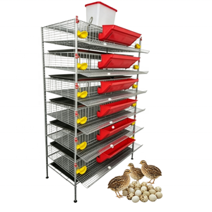 Gabbie <span class=keywords><strong>per</strong></span> Allevamento <span class=keywords><strong>Quaglie</strong></span> in Acciaio Inossidabile Progettate <span class=keywords><strong>per</strong></span> Gestione Efficiente e Produttività in Allevamento - Product Image 6