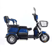 Véhicule électrique certifié CE 48V pour 2 personnes, scooter électrique anti-retournement pour personnes âgées, pour les déplacements quotidiens