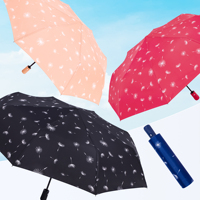 Parapluie pliant automatique pour femme avec impression de pissenlit RST, nouveau parapluie de pluie pliable