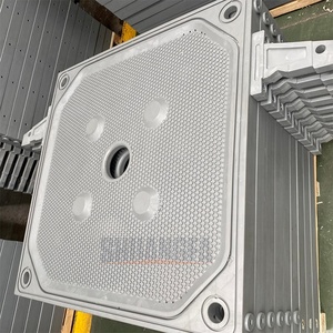 Lage Prijs Versterkte Polypropyleen Kamer Filterpersplaat - Product Image 3