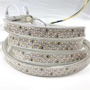 Bridge and park decoration Waterproof flexible flat strip super brightness double row 12V Led strip light