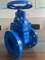 Vannes à opercule à bride, conformes aux normes allemandes et russes, électro-actuées, pour l'eau, taille de port 4 pouces, basse température Z45X