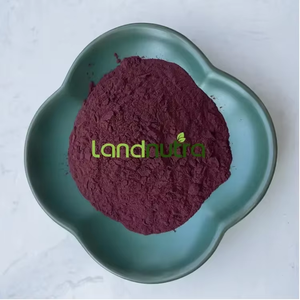 Polvo de astaxantina natural puro derivado de plantas, polvo de astaxantina pura de grado alimenticio - Product Image 3