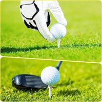 Tee de golf en bois blanc professionnel Deluxe 70mm 2-3/4 pouces