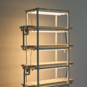 Maceta vertical NFT con luz de espectro completo - Product Image 6