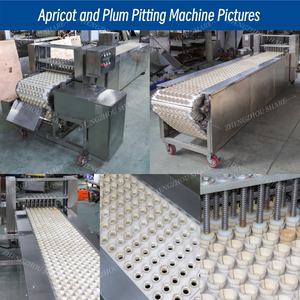 Máquina Deshuesadora de Ciruelas de Alta Calidad, Máquina Deshuesadora de Ciruelas Verdes y Albaricoques, Máquina Eléctrica Deshuesadora de Ciruelas en Venta - Product Image 3