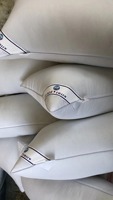 Coussin décoratif personnalisé en microfibre blanche à bas prix, insert d'oreiller 45x45cm (18x18 pouces) pour canapé, maison, hôtel
