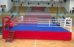 Vente internationale L'IBF Commercial standard Ring Pro <span class=keywords><strong>Cage</strong></span> <span class=keywords><strong>MMA</strong></span> UFC <span class=keywords><strong>Octogone</strong></span> Catch Tapis pour l'exportation - Product Image 4