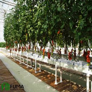 Sistema Hidropónico de Cultivo Vertical para Plantas de Interior con Tecnología de Ahorro de Agua FM Healthy NFT, Grado Alimenticio, Gran Venta - Product Image 5