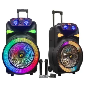 DJ speaker 15 inch trolley speaker modern speaker With Dazzling Lights Double Wireless Microphone For karaokeIFeiGift-1501Q