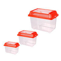 Table basse d'été pour poissons, Mini Aquarium, poissons rouges, animaux de compagnie
