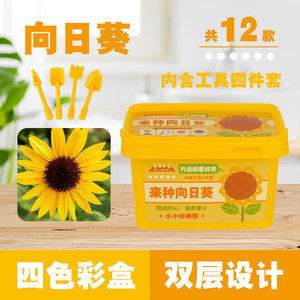 Kit de plantation créatif lumineux pour enfants, jouet éducatif pour jardin de tournesols, ensemble de jardinage d'intérieur - Product Image 5