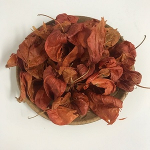 L019 Tè alle Erbe di Alta Qualità della Fabbrica Jin <span class=keywords><strong>Deng</strong></span> Long, Pianta Lanterna Cinese Naturale - Product Image 3