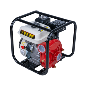 <span class=keywords><strong>Bomba</strong></span> <span class=keywords><strong>de</strong></span> <span class=keywords><strong>Agua</strong></span> <span class=keywords><strong>de</strong></span> Hierro Fundido <span class=keywords><strong>de</strong></span> Alta Presión HP20F, 70m <span class=keywords><strong>de</strong></span> Altura <span class=keywords><strong>de</strong></span> Elevación, Motor <span class=keywords><strong>de</strong></span> <span class=keywords><strong>Gasolina</strong></span>, Arranque Eléctrico <span class=keywords><strong>de</strong></span> 2 Pulgadas, <span class=keywords><strong>para</strong></span> Riego Agrícola - Product Image 4