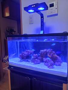 Ctlite 35W Dimmen Full Spectrum Zonsondergang Zonsondergang Wbv Kleur Led Aquarium Licht 35W Voor Koraal Rif Tank Planten Groei - Product Image 6
