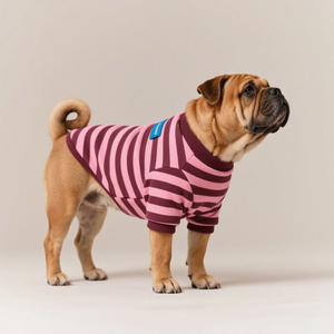 Joymay Boutique Pet Inglés <span class=keywords><strong>Bulldog</strong></span> Pug Ropa para perros Fabricantes Diseñador <span class=keywords><strong>de</strong></span> lujo 100% Algodón Mascota Perro Sudadera para <span class=keywords><strong>todas</strong></span> <span class=keywords><strong>las</strong></span> <span class=keywords><strong>razas</strong></span> - Product Image 1