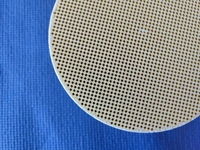 Filtro DPF Personalizzato per Sistema Aftermarket, Componenti di Alta Qualità, Convertitore Catalitico Diesel, Scarico ad Alte Prestazioni