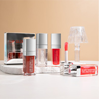 Hellokiss Fruit Pink Lipgloss Lip Plumper Gloss Transparent Oil Lip Glaze Nude Clear Custom Lip Glass Set